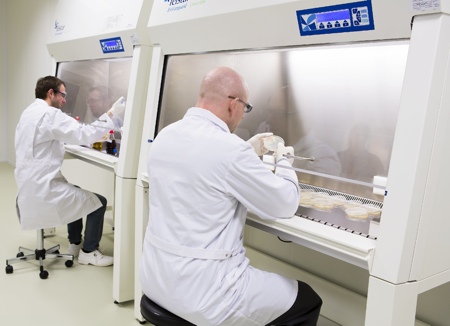 3M Purification opens new laboratory in Antwerp, Belgium