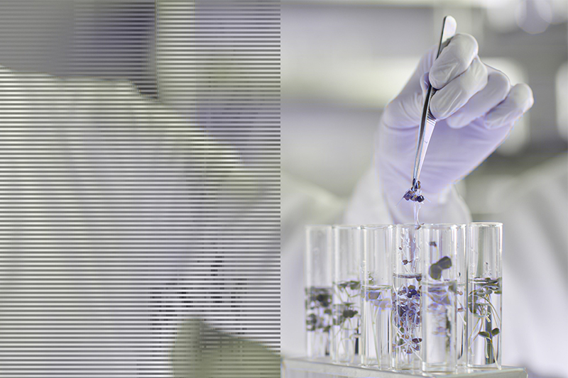 A culture of success - two decades of growth in the bio-manufacturing sector