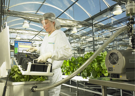 A hothouse for drug r&d