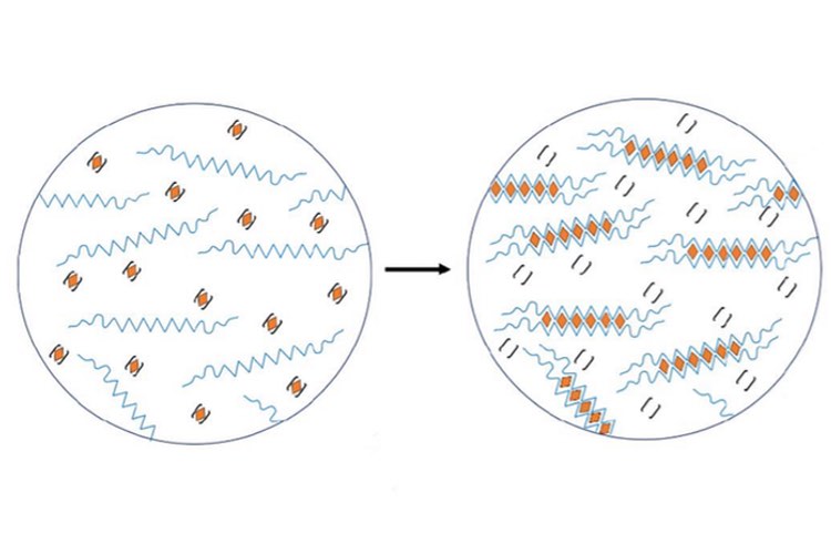 A microfluidic approach to production of alginate beads for cell encapsulation