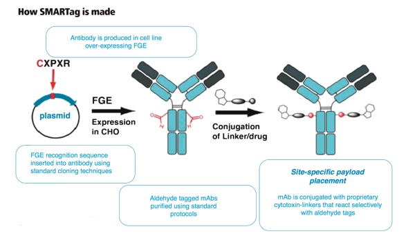 A new generation of ‘better biologics’