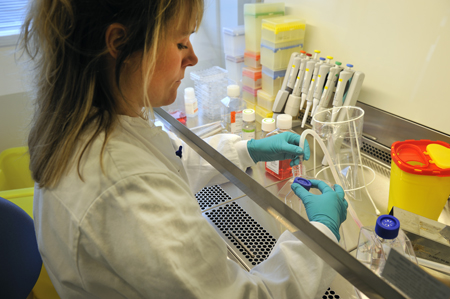 <i>Santaris Pharma is developing miRNA based products using its LNA platform</i>