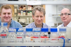 Aberdeen University wins £5.1m grant to tackle fungal infections