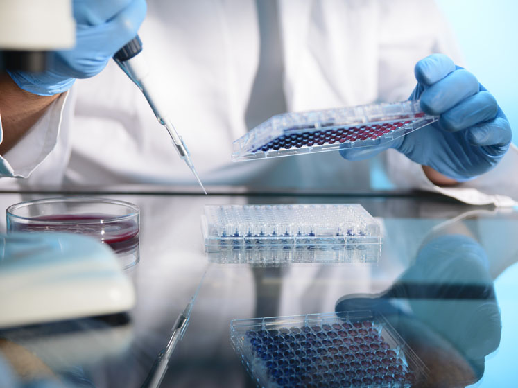 Accelerating drug discovery with market leading cell line generation