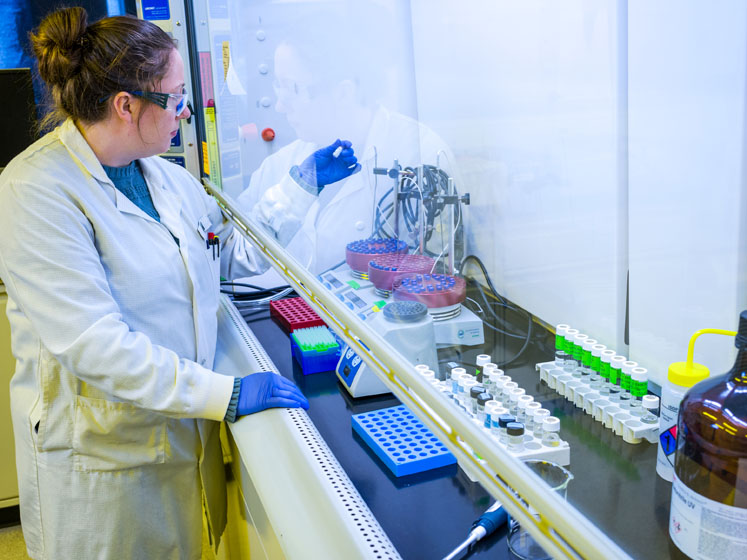 Accelerating early stage small molecule drug development