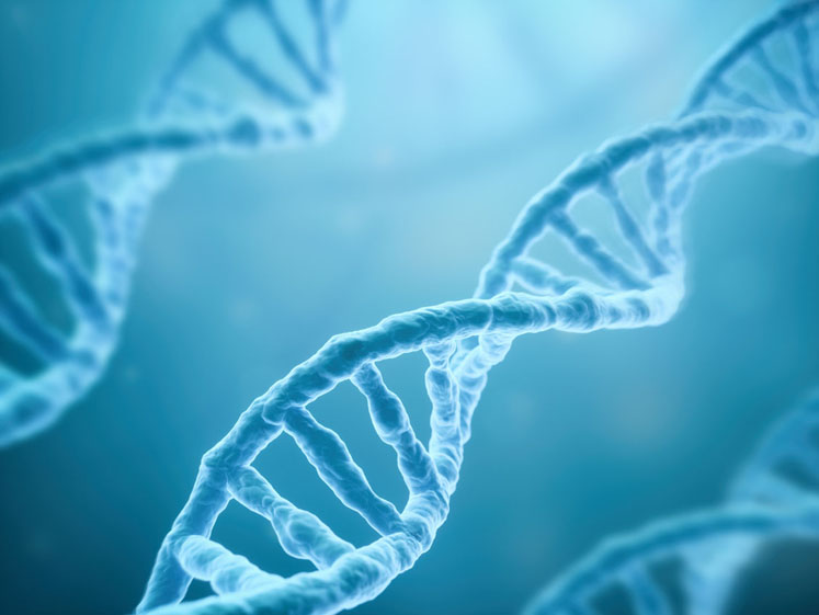 Adding more to the cell and gene therapy playbook