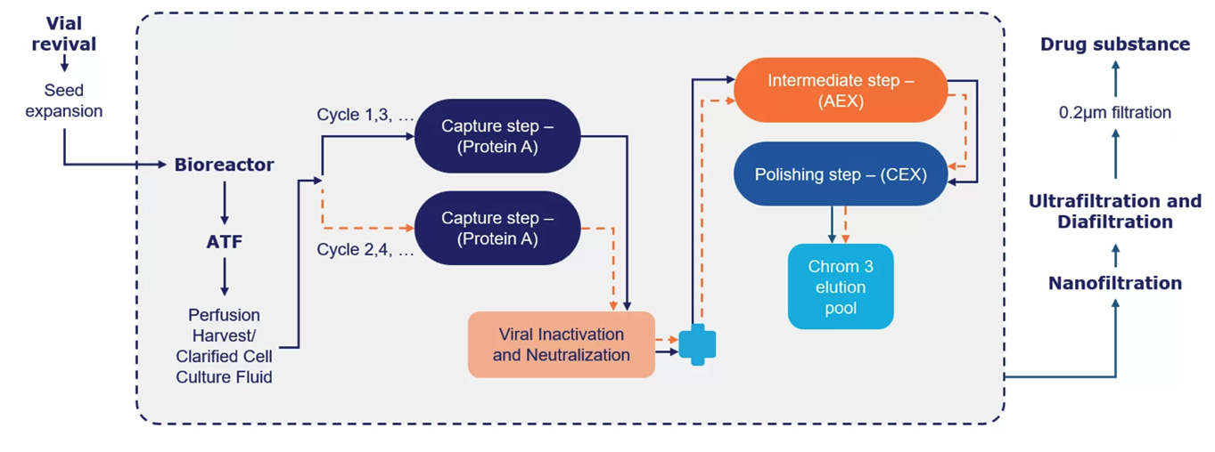 Advancing biologics beyond perfusion with fully connected continuous manufacturing