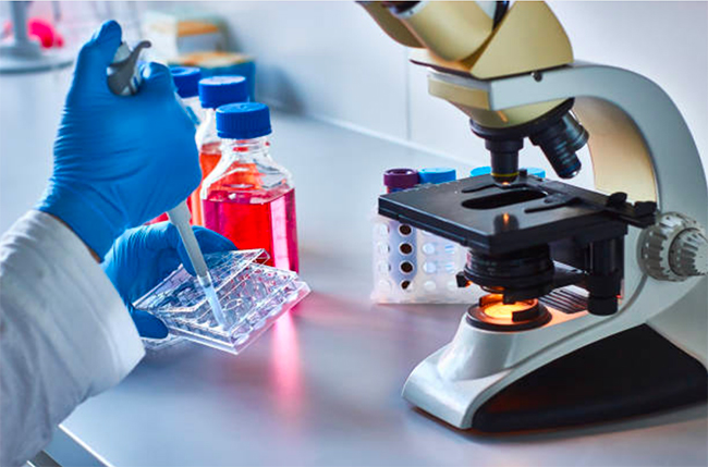 Almac Discovery and Elasmogen to share Anti-ROR-1 VNAR data 