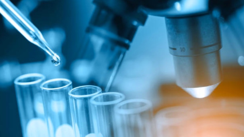 Almac Discovery, Elasmogen and Innovate UK collaborate