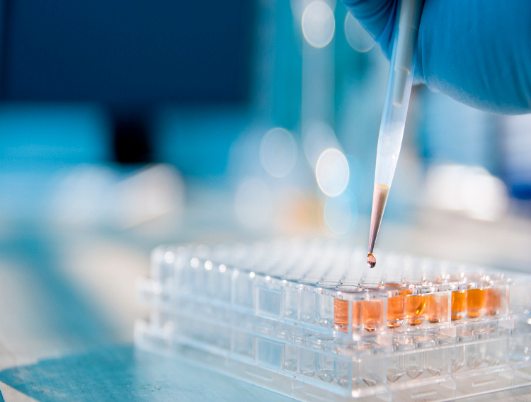 Almac Group awarded R&D grant to accelerate enzyme discovery