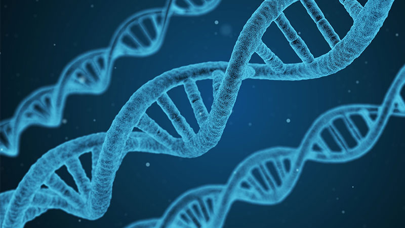Almac's gene expression report enables cancer research discoveries