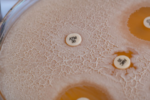 AMR Bio urges US policymakers to make infection prevention a core AMR strategy