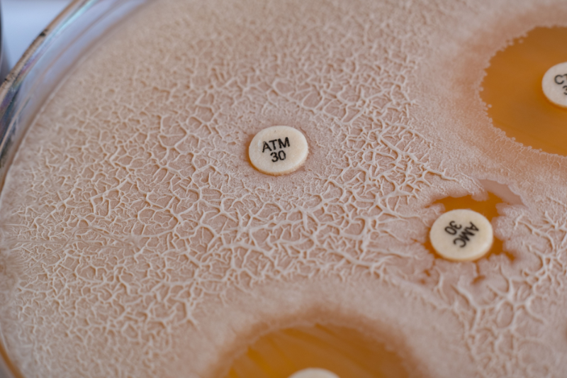 AMR Bio urges US policymakers to make infection prevention a core AMR strategy