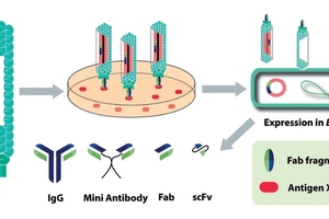 An infectious approach to new drugs