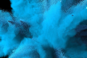 An introduction to combustible dust