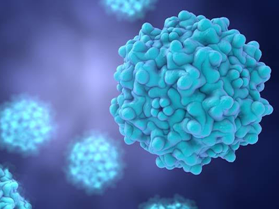 Analytical toolbox for cell and gene therapy development