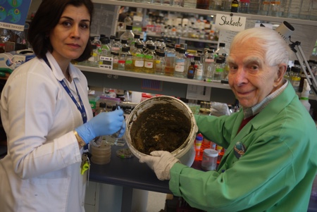 Ancient medicinal clay shows promise against bacterial infections