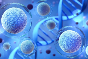 Andelyn Biosciences and Broad Institute of MIT and Harvard expand CGT R&D partnership