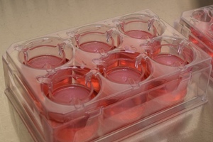 Animal-free approach to metabolism studies