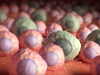 Anti-ageing drugs are on the horizon