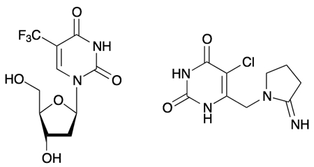Anticancer therapy – TAS-102