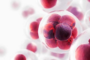 Apceth bullish on manufacturing deal with bluebird bio 