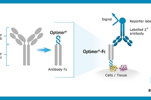 Aptamer launches reagent solution for immunohistochemistry