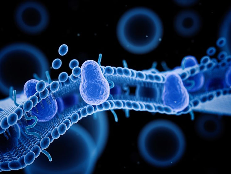 Aquaporin-led BIOMEM project with Aston University wins €3m Pathfinder grant for novel biomembranes