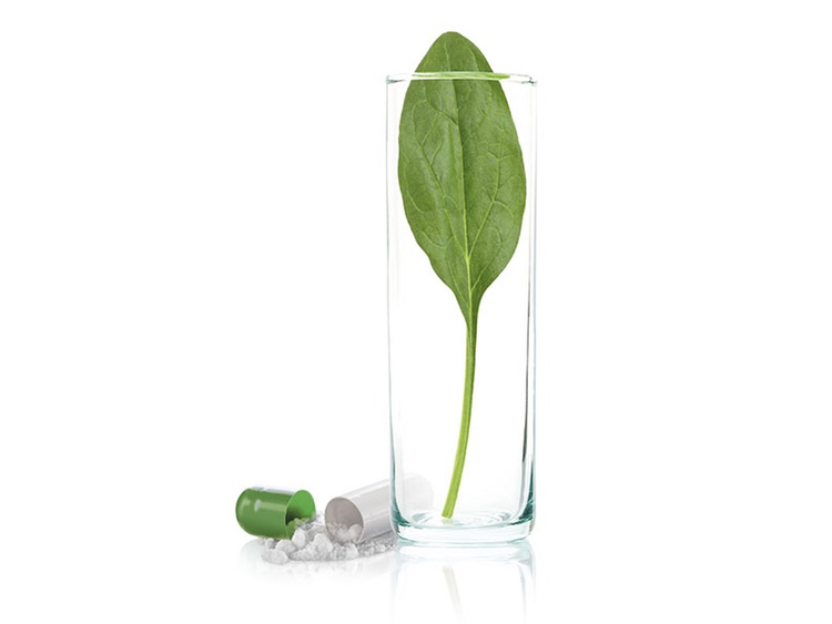 Arcofolin: The latest proprietary active L-Methylfolate from Merck