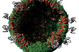 Artes Biotechnology and Burnet Institute join forces to develop novel hepatitis C vaccine