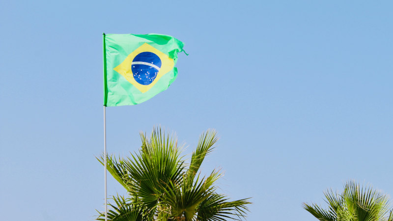 A complete guide to Brazil serialisation
