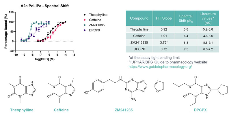 Adenosine A2a receptor: novel biophysical fragment screening using polymer-encapsulated nanodiscs