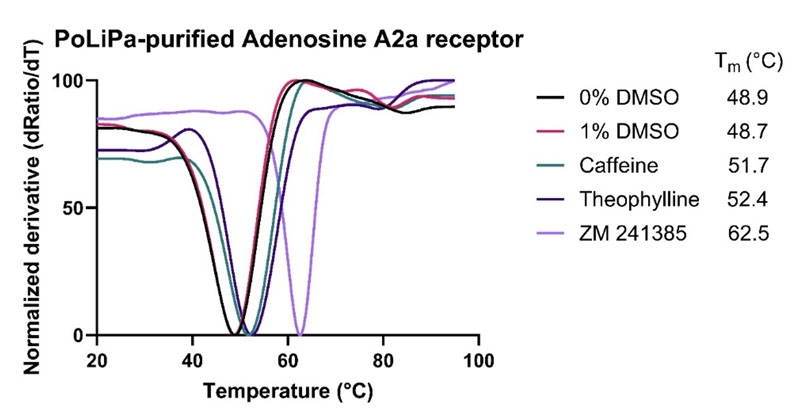 Adenosine A2a receptor: novel biophysical fragment screening using polymer-encapsulated nanodiscs