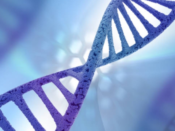 Andelyn partners with Odylia on novel gene therapy