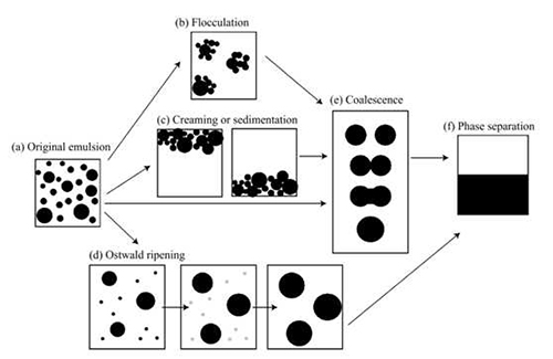 Figure 1: The different processes involved in the breakdown of an unstable emulsion
