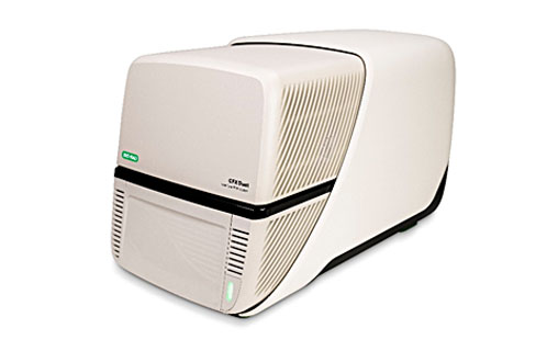 Bio-Rad launches CFX Duet real-time PCR system
