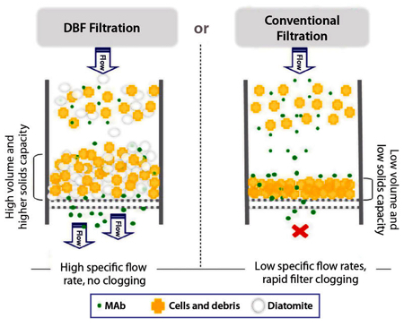 Figure 1: Filtration principle of dynamic body feed filtration (BFF) with diatomaceous earth (DE) and conventional filtration
