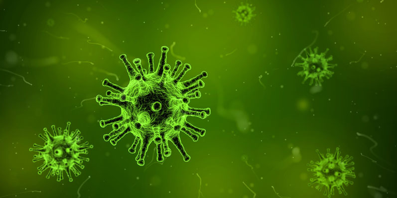 Can preventive care put an end to disease and virus outbreaks?