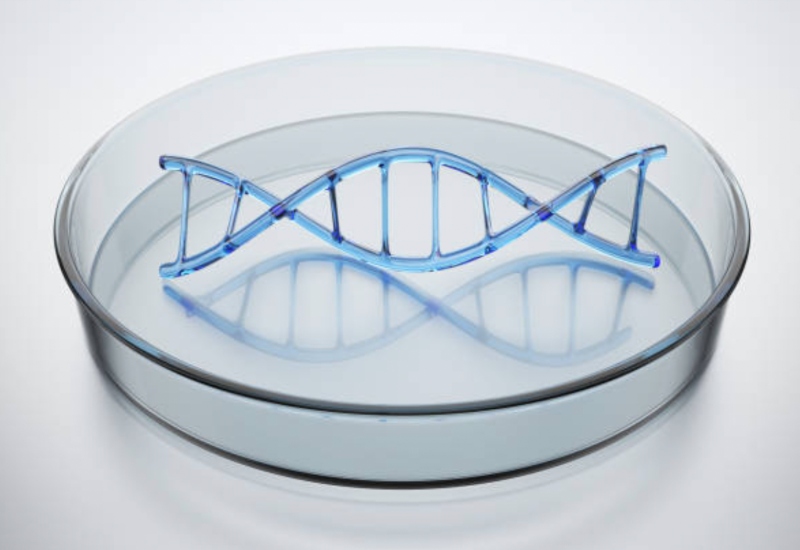 Catalent opens commercial-scale plasmid DNA facility in Belgium