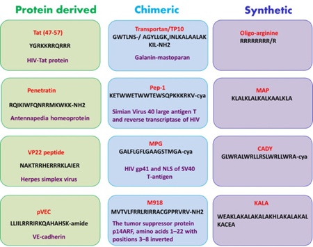 Figure 1: Examples of different CPPs that are protein derived, chimeric or de novo designed (synthetic)