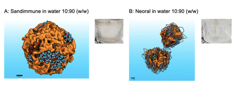 Figure 2: Showing MDS models of the dispersion behaviour of Sandimmune and Neoral in water. MDS correctly predicts the agglomeration of Sandimmune (A), consistent with experimental observations (milky dispersion) and the superior dispersion of Neoral (B), consistent with fine dispersion observed experimentally (clear dispersion).