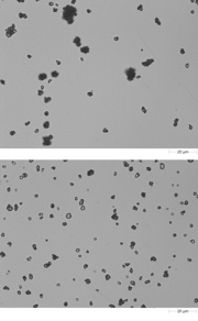 Figure 2: Images for aggregated (top frame) and dispersed (bottom frame) samples can be used to verify the success of a dispersion process