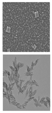 Figure 3: Variations in crystal shape, with some cubic (top frame) and others more needle-shaped (bottom frame), proved to be a source of variability in the particle sizing method
