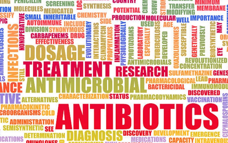 Fighting Antimicrobial Resistance