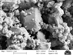 Figure 1: Micrograph of natural calcium carbonate