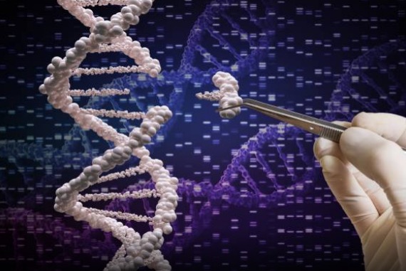 Horizon expands CRISPR license rights with ERS Genomics