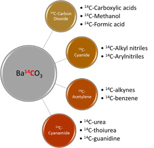 Figure 1: The barium [14C]-carbonate tree
