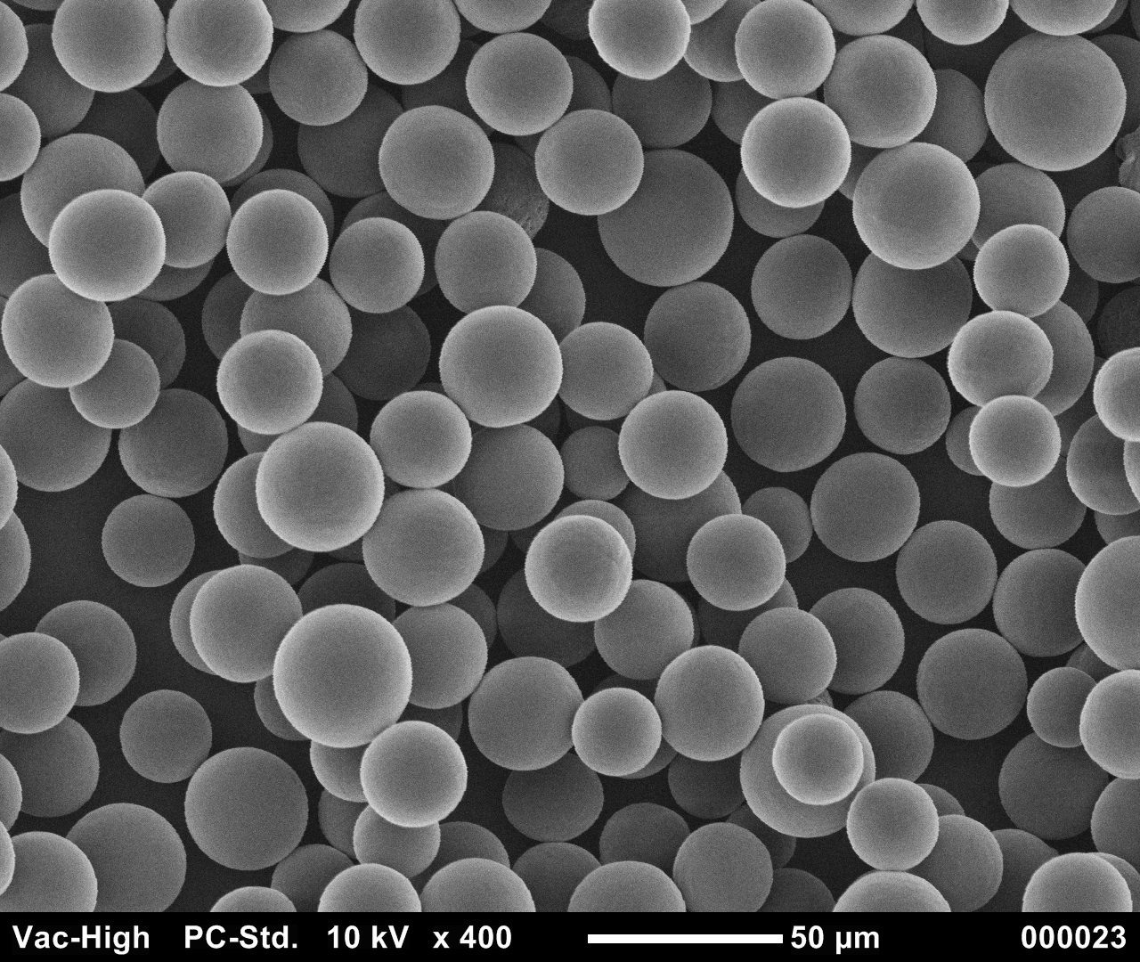 Synbiosys microparticles for sustained release delivery of biologics