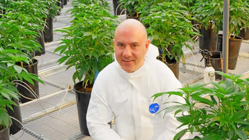 Michael Sassano: the man bringing US cannabis know-how to Europe 