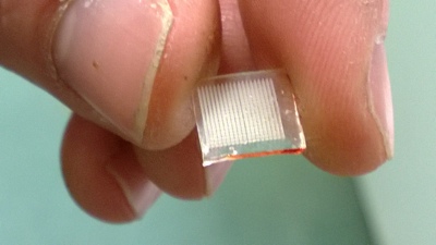 Microneedle patch that could be used for painless drug sampling. Image courtesy of Dr Ryan Donnelly, School of Pharmacy, Queens University Belfast